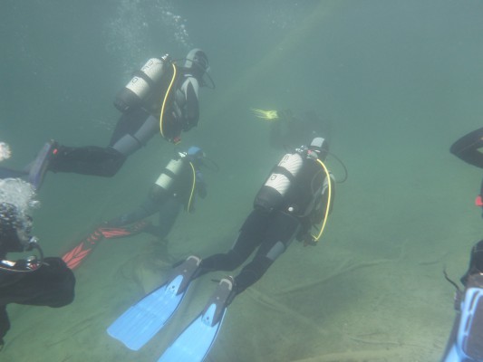 Fabelhafte Unterwasserwelt im Blindsee, Österreich
